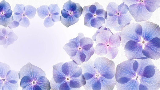 1249854 (a): :1920x1080